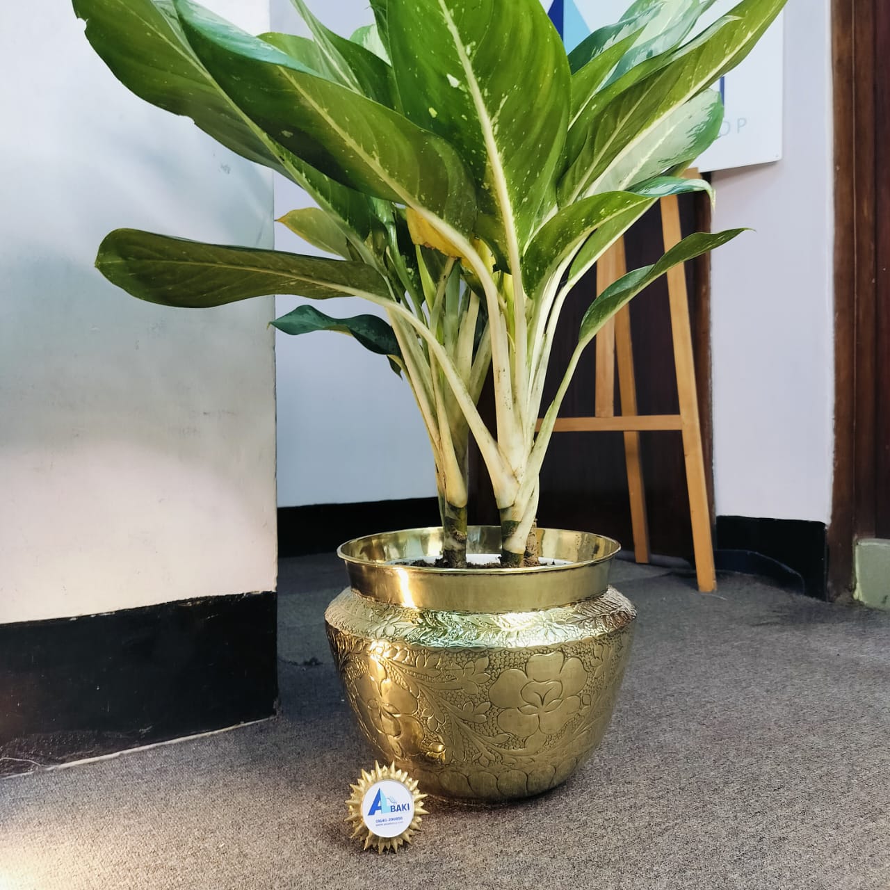 WhatsApp Image 2025-08-02 at 04.52.16_244a77ee WhatsApp Image 2025 08 02 at 04.52.16 244a77ee