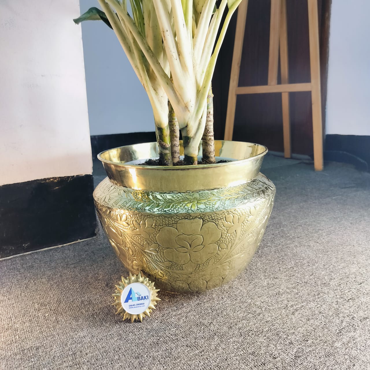 WhatsApp Image 2025-08-02 at 04.52.16_c8c17532 WhatsApp Image 2025 08 02 at 04.52.16 c8c17532