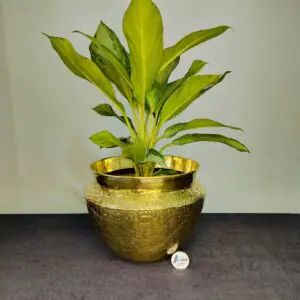 Home 28 পিতলের ডিজাইন ফুলের টব - ১১.৫ ইঞ্চি (+/-)
