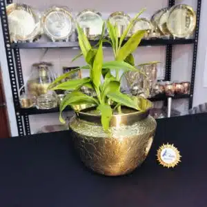 Home 30 পিতলের ডিজাইন ফুলের টব – ৯ ইঞ্চি (+/-)